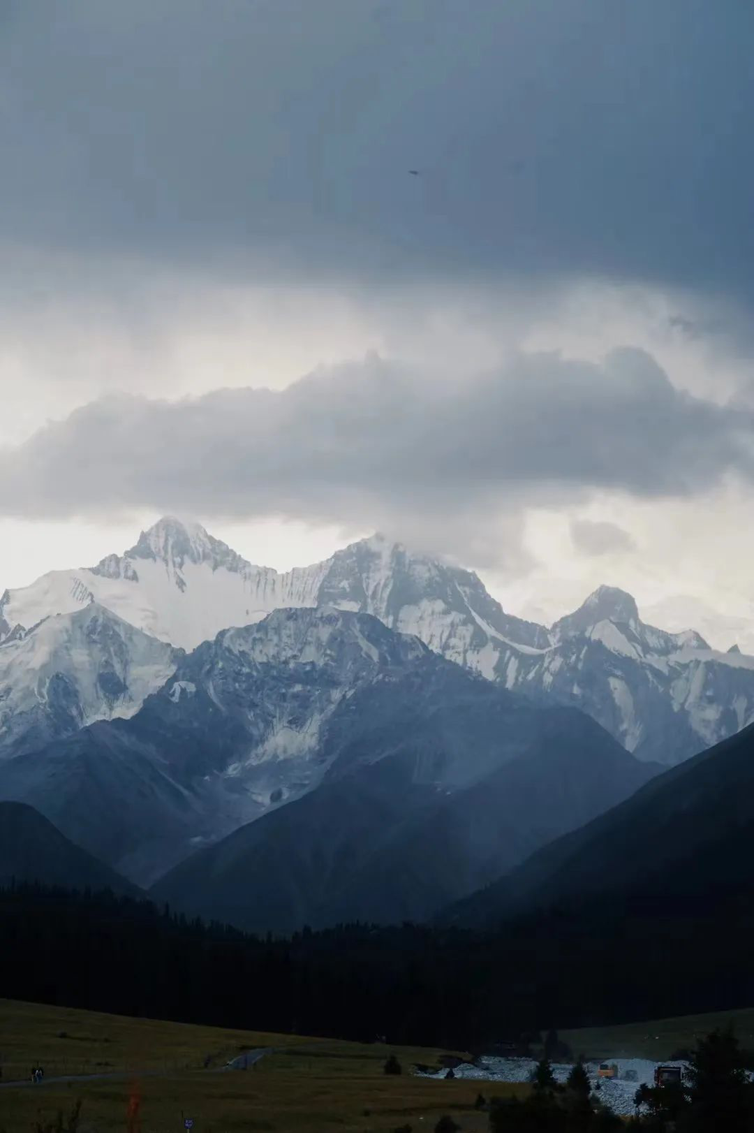 1_07524236049481545.png 15.png